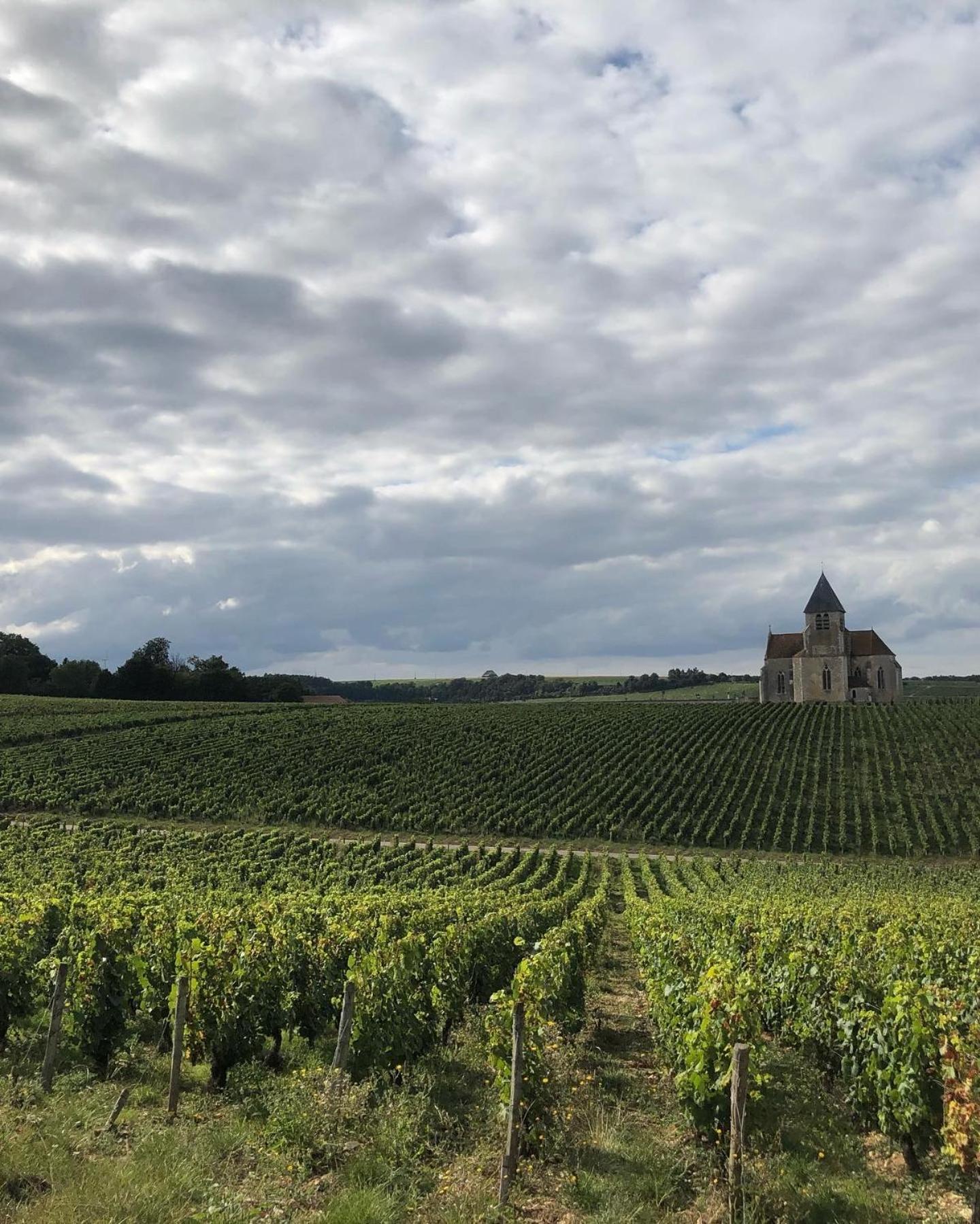 Maison De Pauline, Chablis Vineyard Prehy Номер фото